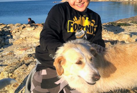 ayvalik sokak hayvanlari 15 scaled