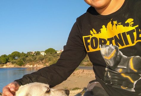 ayvalik sokak hayvanlari 4 scaled