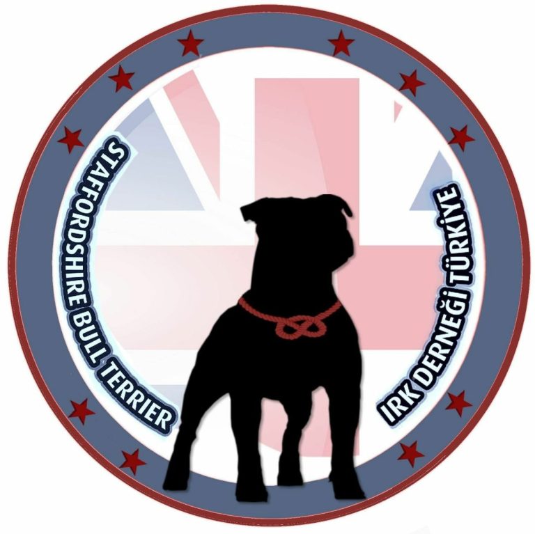 İngiliz Staffordshire Bull Terrier Irk Derneği