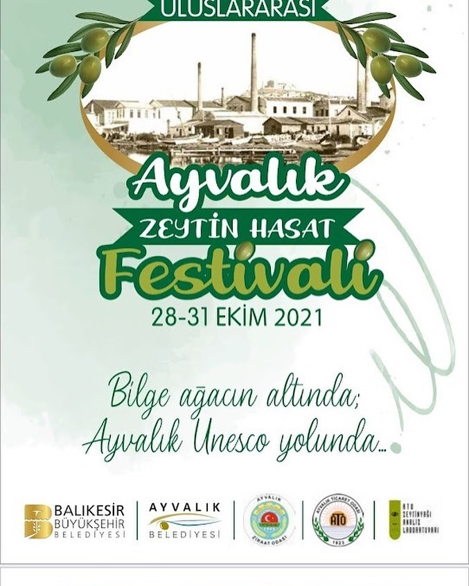 ayvalik zeytin hasat senligi 2021